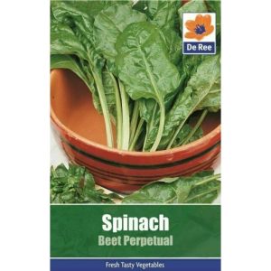 De Ree Spinach Beet Perpetual