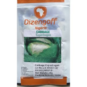 Dizengoff Nigeria Cabbage Copenhagen