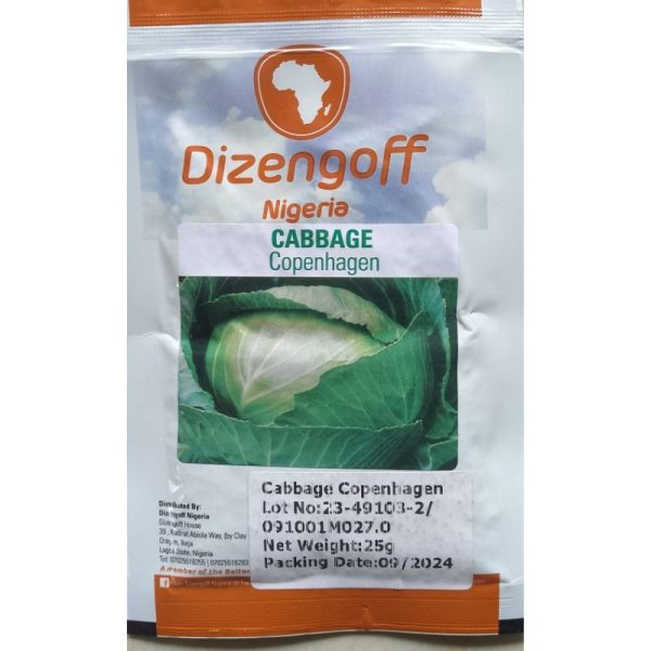Dizengoff Nigeria Cabbage Copenhagen