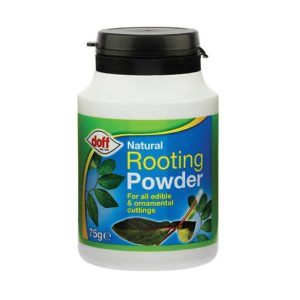 Doff Natural Rooting Powder