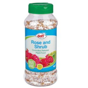 Doff Rose and Shrub