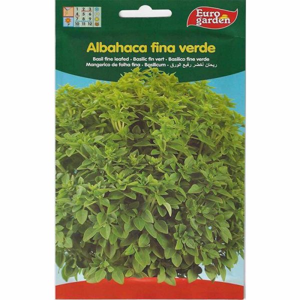 Euro Garden Basil Fine Leafed Seeds