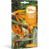 Euro Garden Bird Of Paradise Flower Seeds
