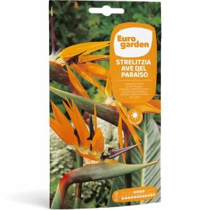 Euro Garden Bird Of Paradise Flower Seeds