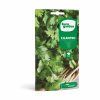 Euro Garden Coriander Seeds