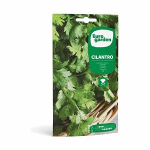 Euro Garden Coriander Seeds