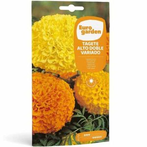 Euro Garden Marigold Tall Double Mix Seeds