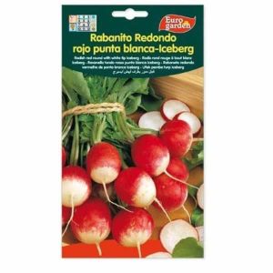 Euro Garden Radish Iceberg Seeds