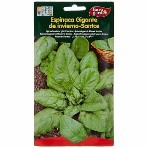 Euro Garden Spinach 0114 Seeds