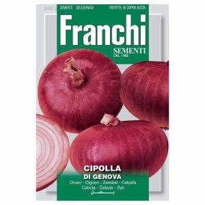 Franchi Cipolla Di Genova Onion Seeds