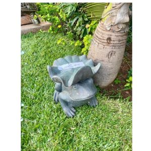 Garden Ornament Frog