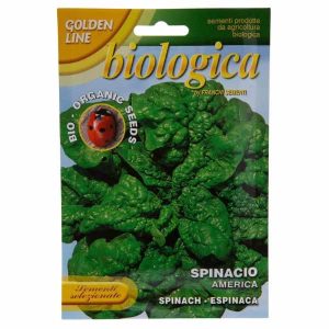 Golden Line Spinacio America Spinach Seeds