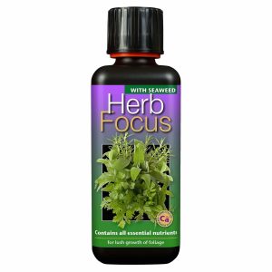 Herb Focus 300ml