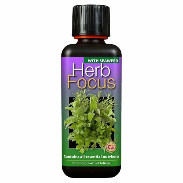 Herb Focus 300ml