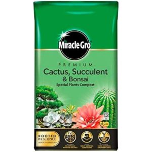 Miracle-Gro Premium Cactus, Succulent & Bonsai Compost