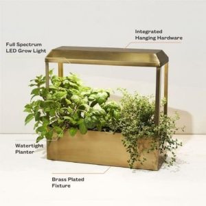 Modern Sprout Smart Growhouse