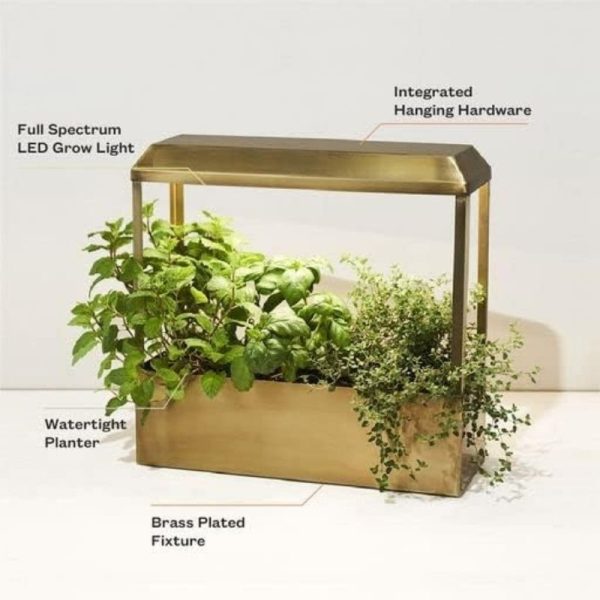 Modern Sprout Smart Growhouse