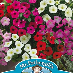 Mr Fothergills Petunia Rapide Mixed F1 Seeds