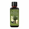 Olive Focus 300ml