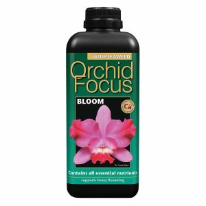 Orchid Focus Bloom 300ml