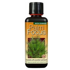 Palm Focus 300ml