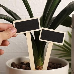 Plant Labels With Chalk