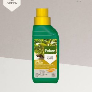 Pokon Feed for Green Plants