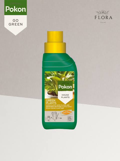 Pokon Feed for Green Plants