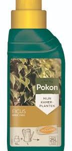 Pokon Ficus Feed