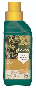 Pokon Ficus Feed