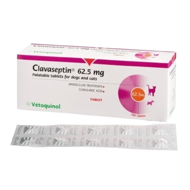 Clavaseptin 62.5mg Tablets ? 100?s