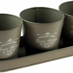 Roots & Shoots Set Of 3 Vintage Planter