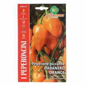 Royal Seeds Peperone Piccante Habanero Orange Pepper
