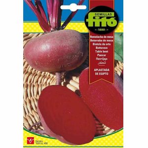 Semillas Fito Aplastada De Egipto Beetroot Seeds