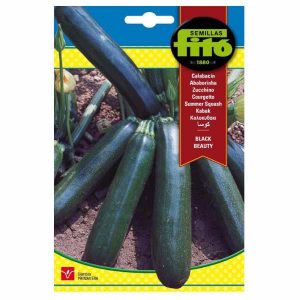 Semillas Fito Beauty Black Courgette Seeds