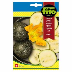 Semillas Fito Di Nizza Zucchini Seeds