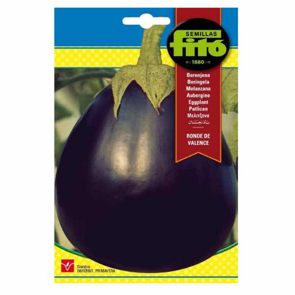 Semillas Fito Ronde De Valence Eggplant Seeds