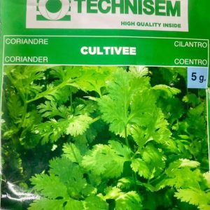 Technisem Coriander Cultivee Seeds