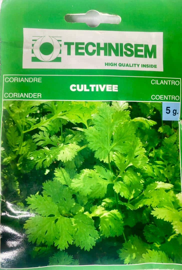 Technisem Coriander Cultivee Seeds