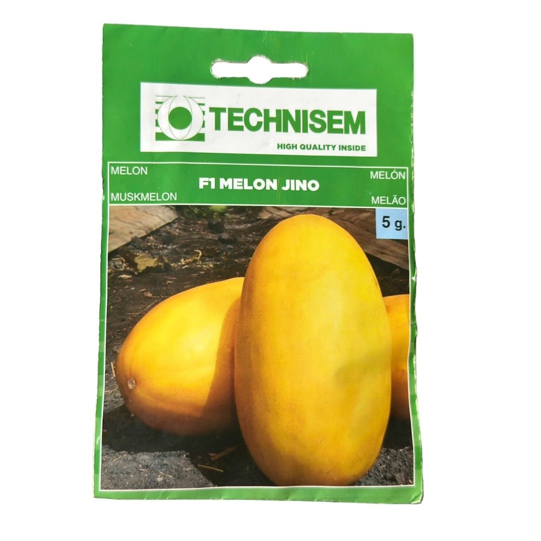 Technisem Melon F1 Jino Seeds