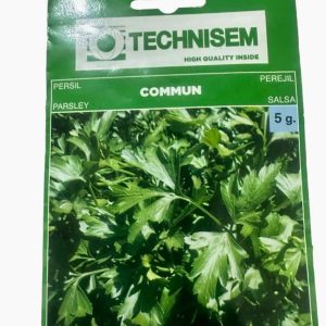 Technisem Parsley Commun Seeds