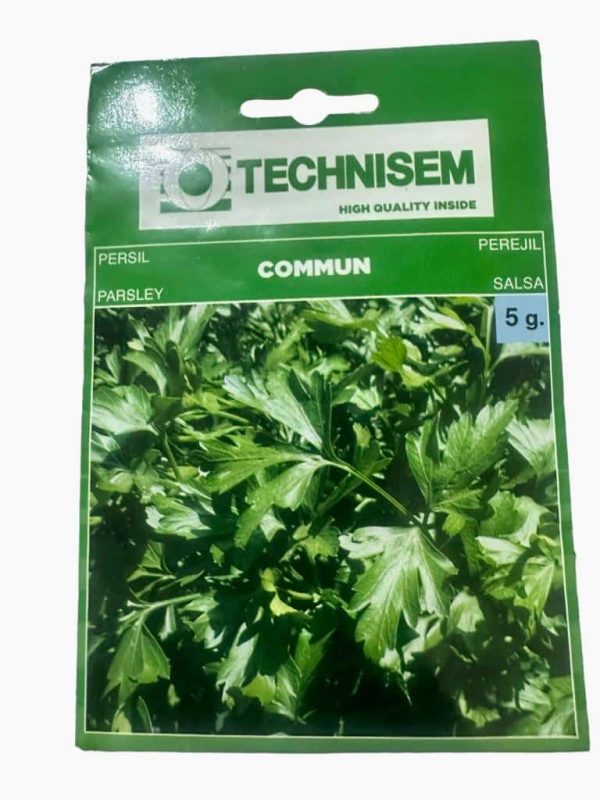 Technisem Parsley Commun Seeds