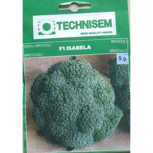 Tecnisem Broccoli F1 Isabella