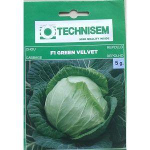 Tecnisem Cabbage F1 Green Velvet