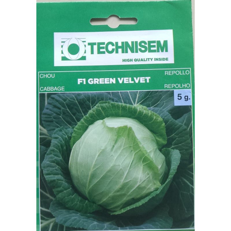 Tecnisem Cabbage F1 Green Velvet