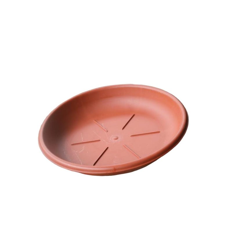 The Greenfileds Collection Saucer Terracotta 24Cm
