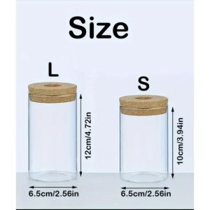 Transparent Hydroponic Planter