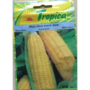 Tropical Seed Sweet Corn