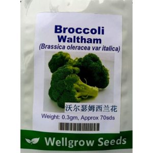 Wellgrow Broccoli Waltham