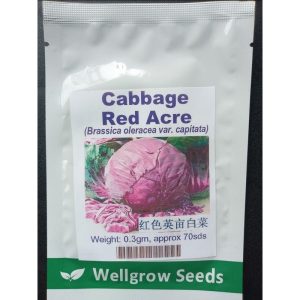 Wellgrow Cabbage Red Acre